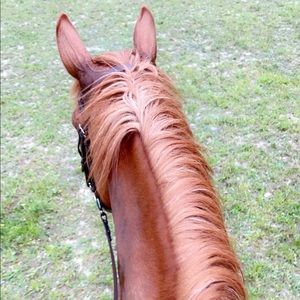 Meet your Posher, Catherine eliza